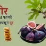 अंजीर
