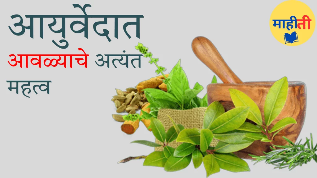100 आजारावर आवळा हे एक औषध