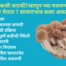 मशरूम शेती