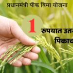 प्रधानमंत्री पीक विमा योजना