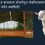 शेळीपालन शेड बांधकाम योजना