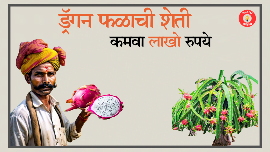 ड्रॅगन फ्रुट