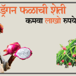 ड्रॅगन फ्रुट