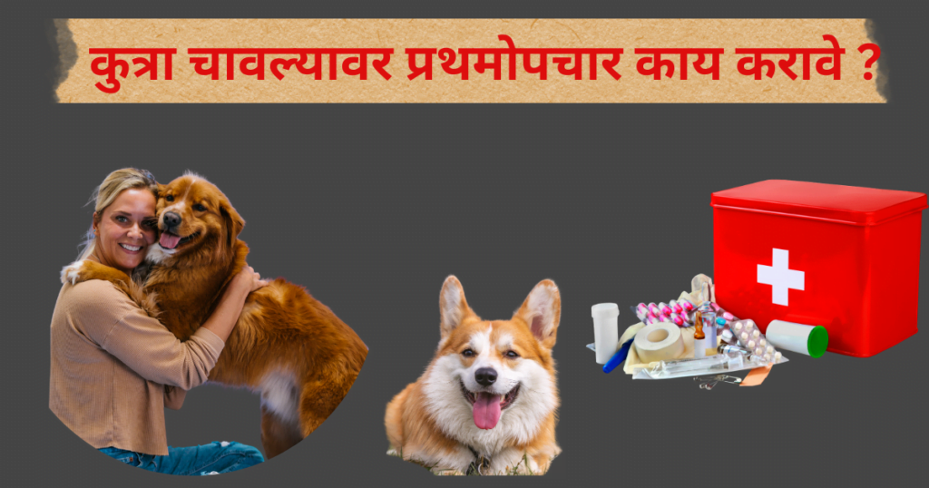 रेबीज