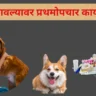 रेबीज