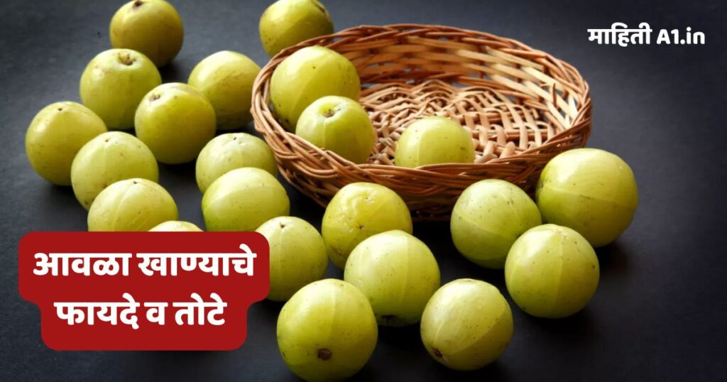 आवळा खाण्याचे फायदे व तोटे