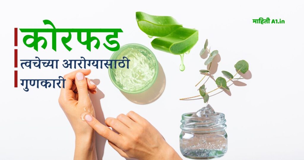 कोरफडीचे हे औषधी गुणधर्म