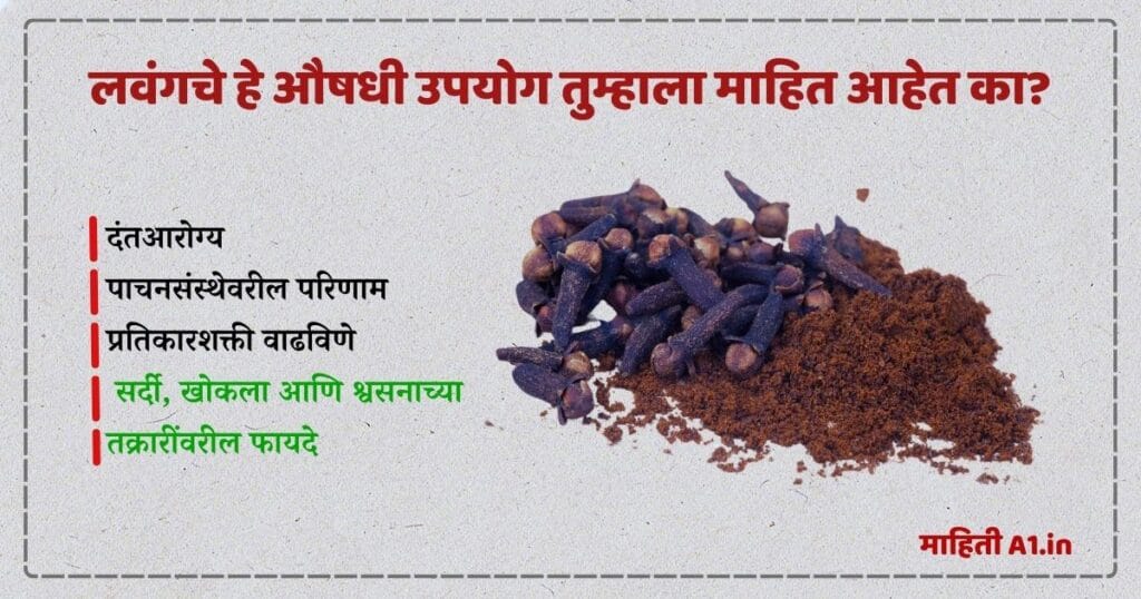 लवंग खाण्याचे फायदे