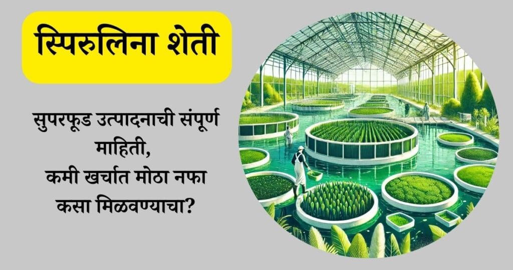 स्पिरुलिना शेती