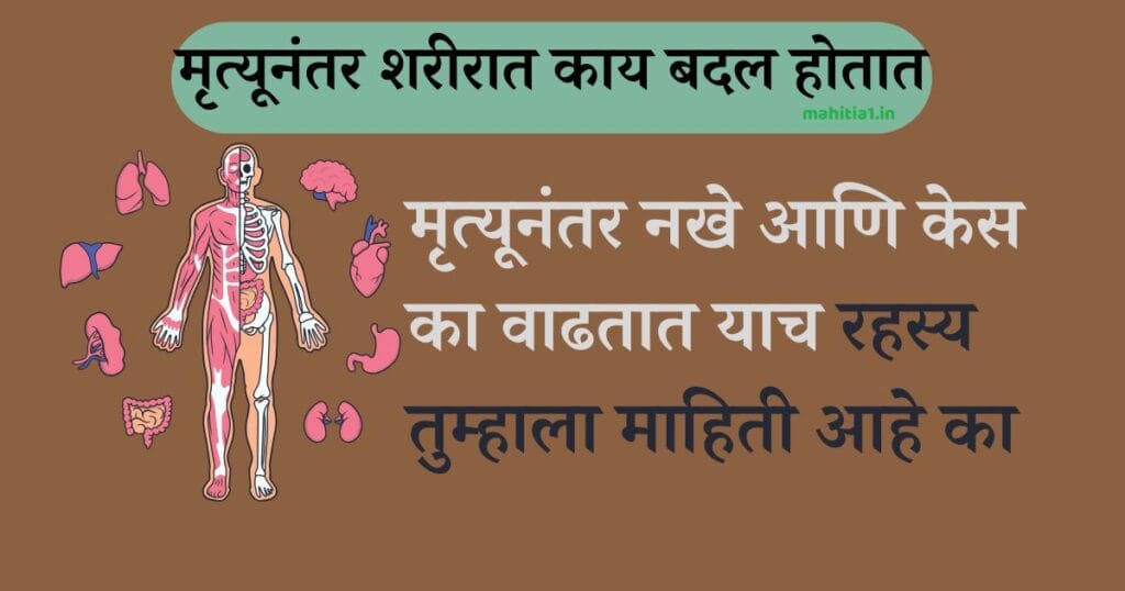 मृत्यूनंतर नखे आणि केस का वाढतात याच रहस्य तुम्हाला माहिती आहे का