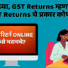 GST रिटर्न कसे भरायचे?
