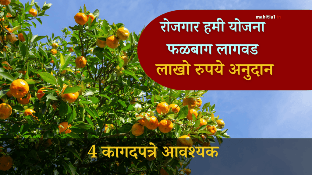 रोजगार हमी योजना फळबाग लागवड