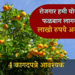 रोजगार हमी योजना फळबाग लागवड