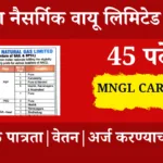 Mngl career