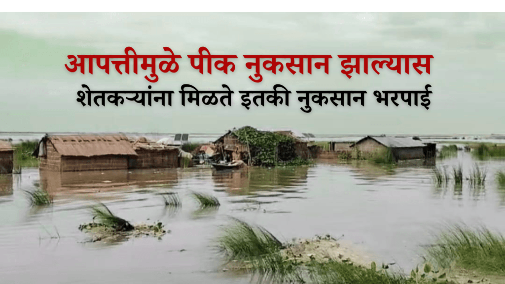 राज्य आपत्ती मदत निधी (SDRF)