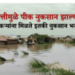 राज्य आपत्ती मदत निधी (SDRF)