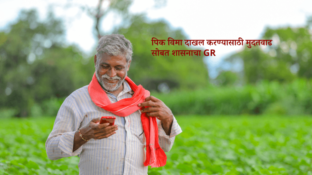 पिक विमा दाखल करण्यासाठी मुदतवाढ