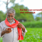 पिक विमा दाखल करण्यासाठी मुदतवाढ