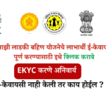 ladki bahin maharashtra government in kyc